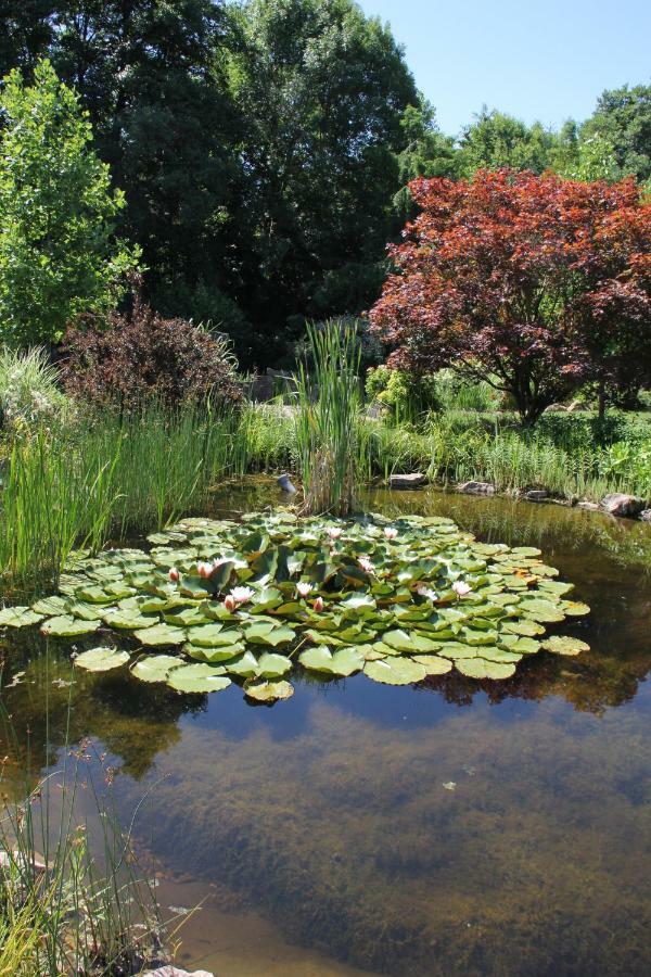 Fewo - Wohlfuehlambiente & Gartenparadies Modautal Exterior foto